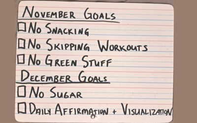 NOvember Recap and December Goals