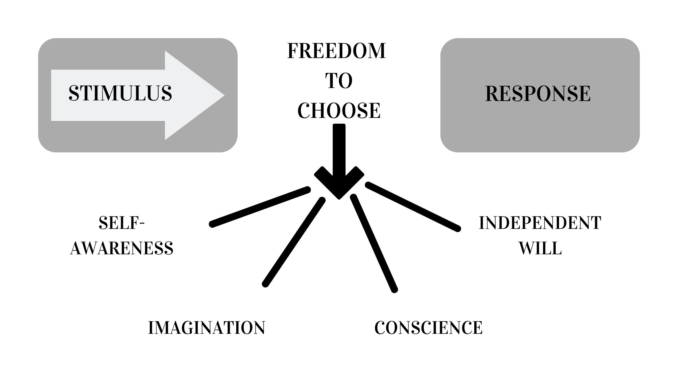 Proactive Model